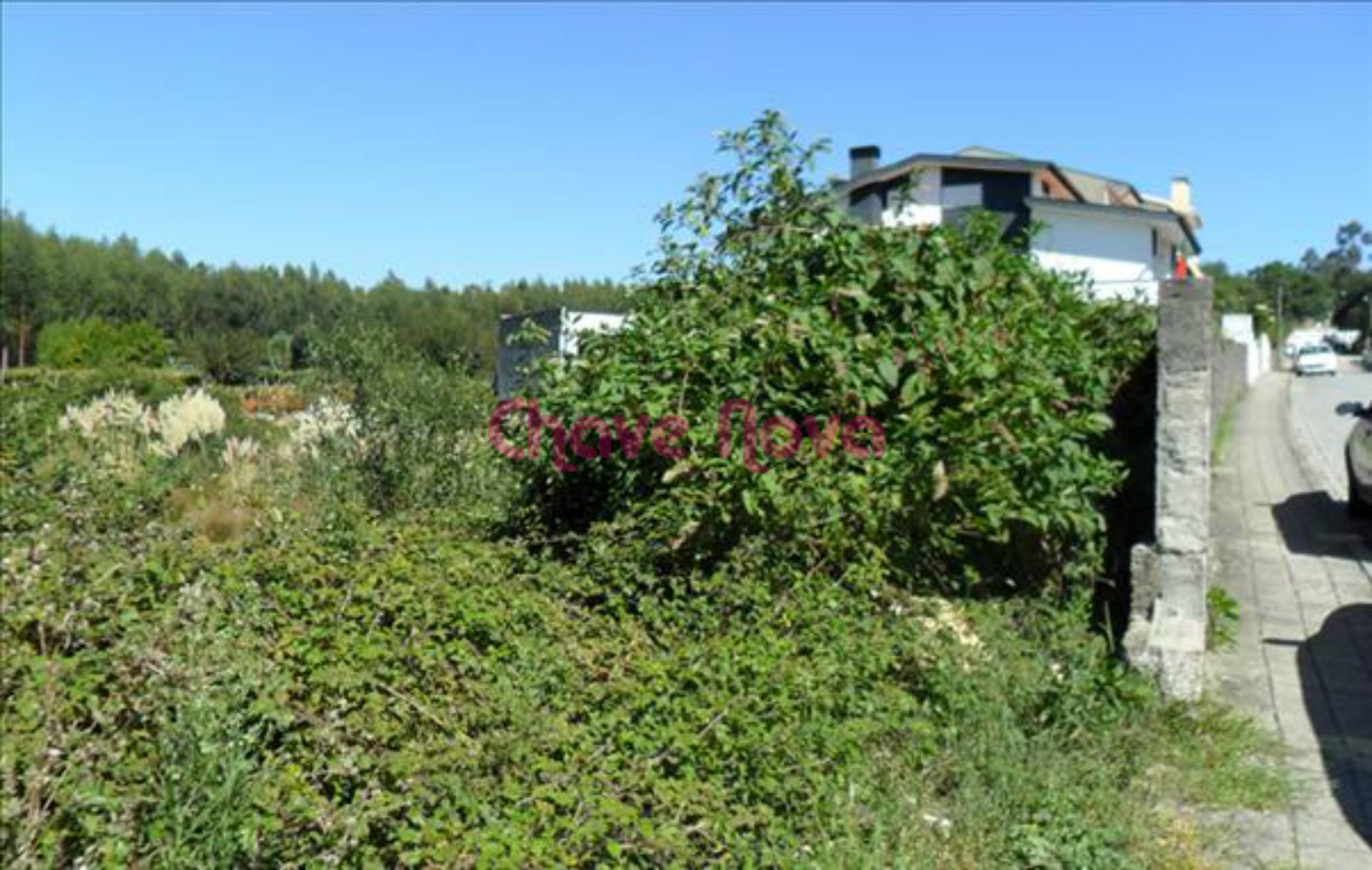 Lote de Terreno  Venda em Baguim do Monte (Rio Tinto),Gondomar