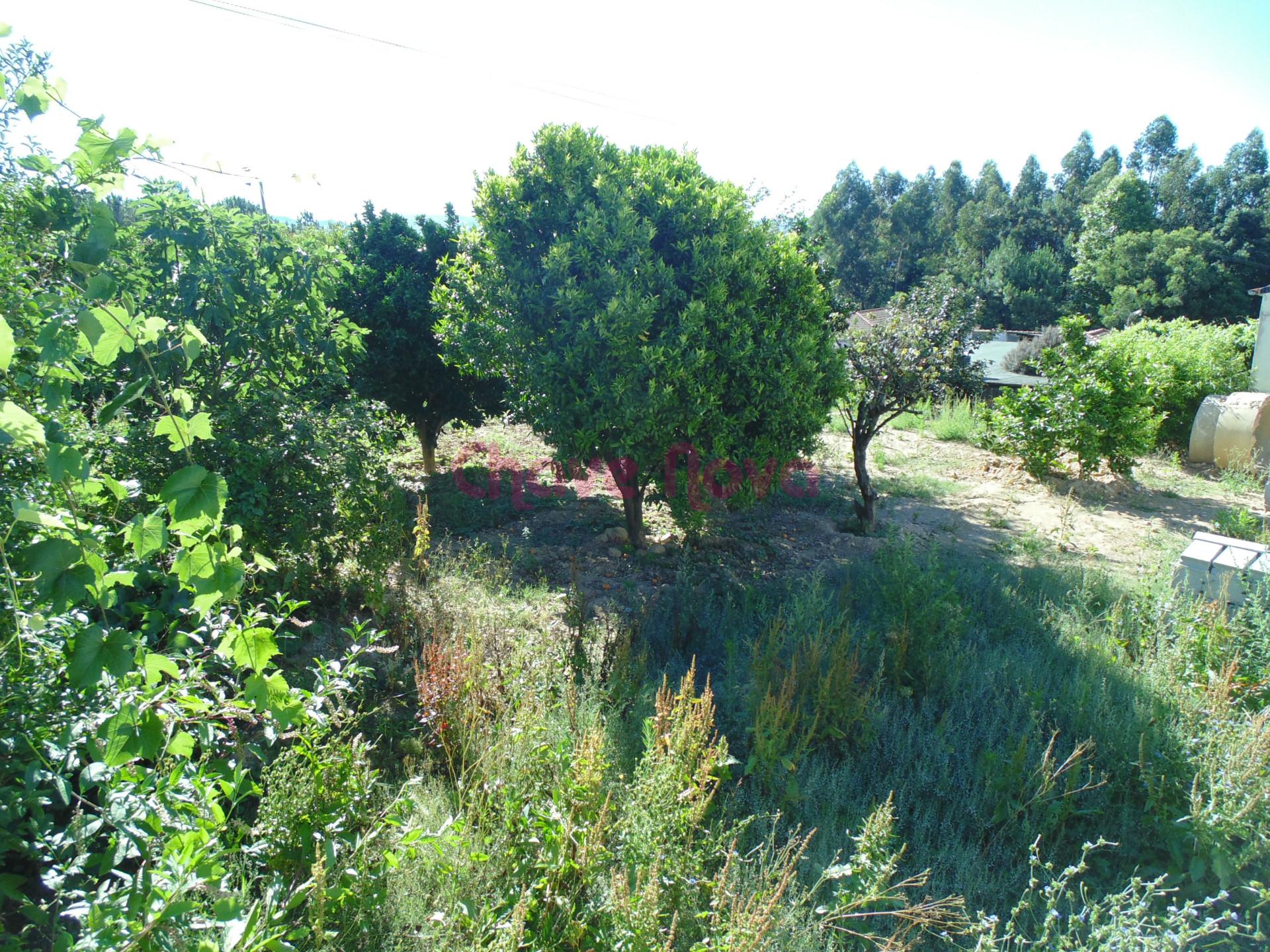 Lote de Terreno  Venda em São João da Madeira,São João da Madeira