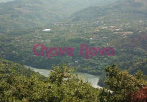 Quintinha  Venda em Ancede e Ribadouro,Baião