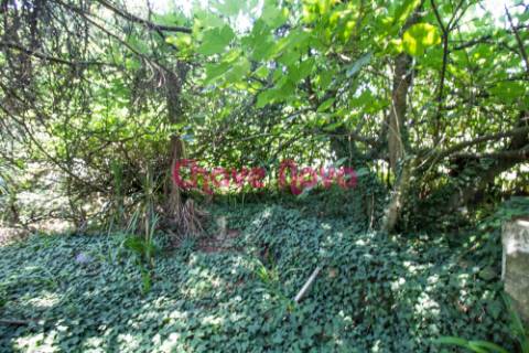 Lote de Terreno  Venda em Grijó e Sermonde,Vila Nova de Gaia