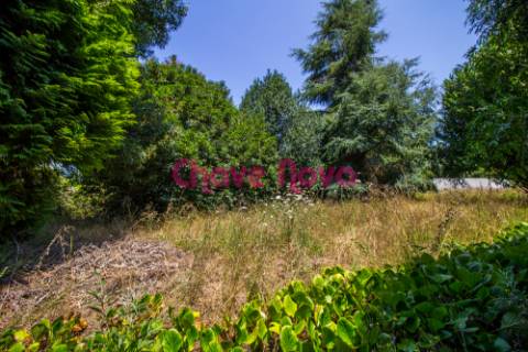 Lote de Terreno  Venda em Grijó e Sermonde,Vila Nova de Gaia