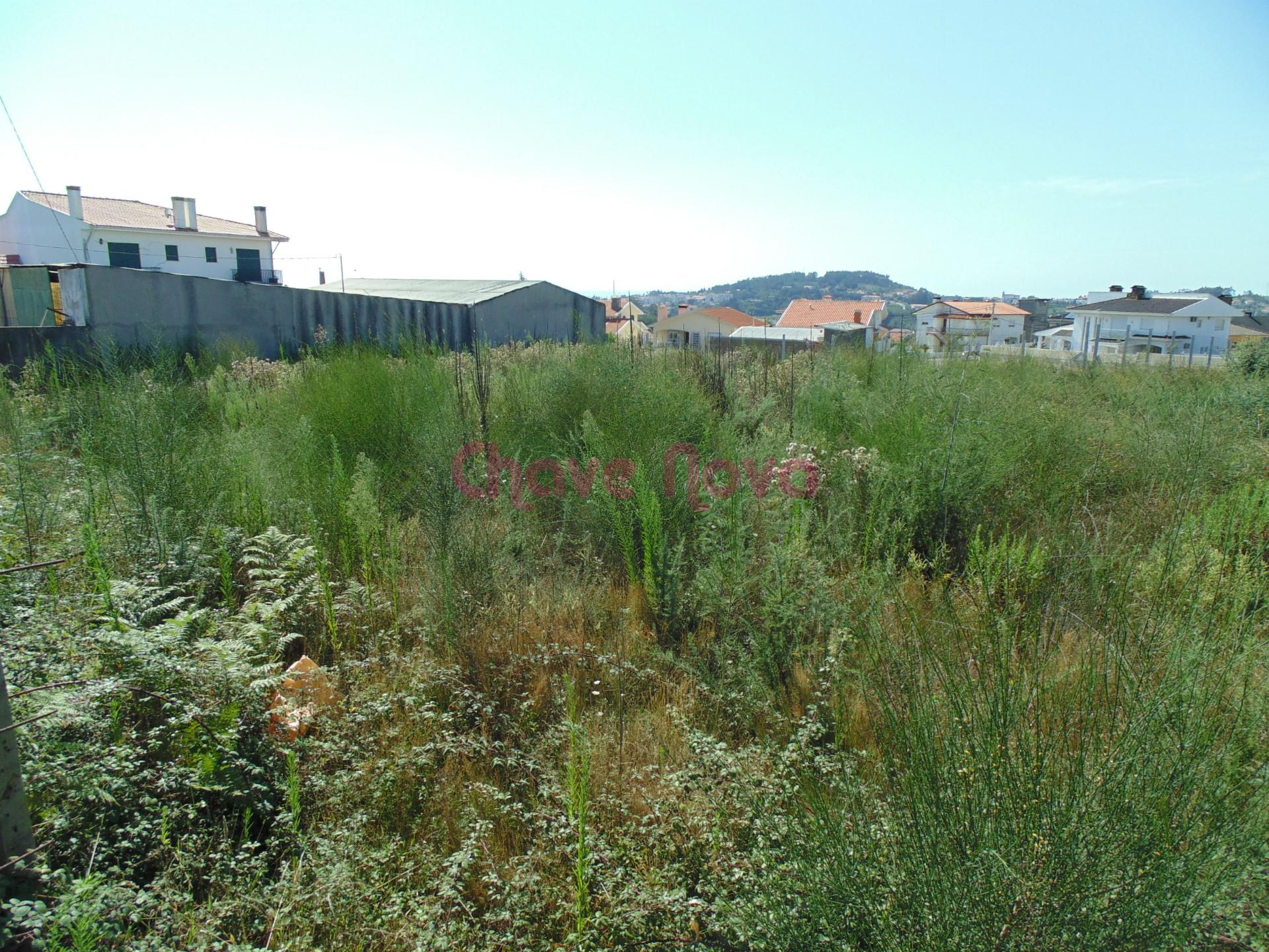 Lote de Terreno  Venda em Lourosa,Santa Maria da Feira