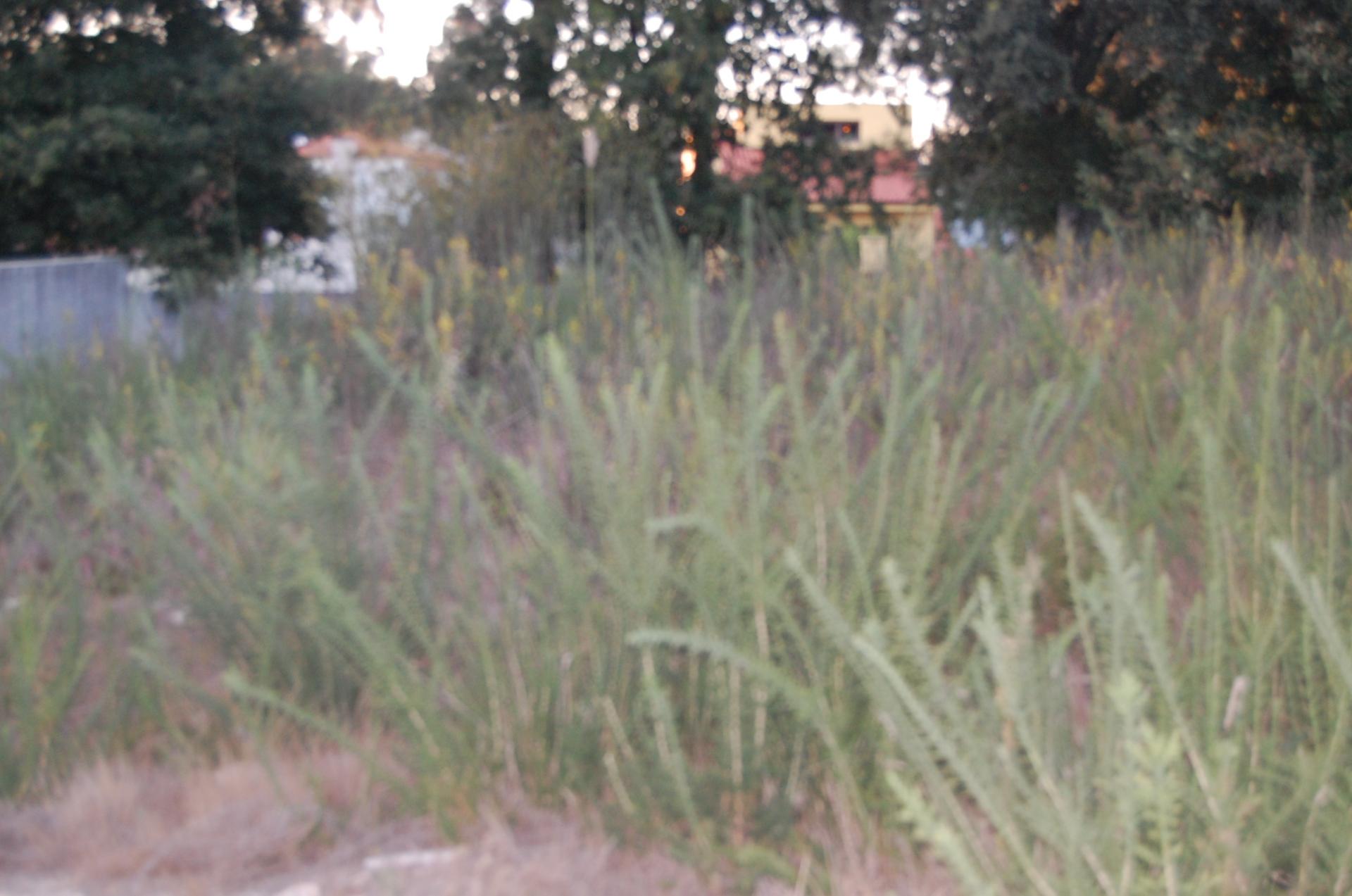 Terreno Urbano  Venda em Pedroso e Seixezelo,Vila Nova de Gaia