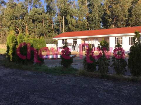 Moradia Isolada  Venda em Lourosa,Santa Maria da Feira