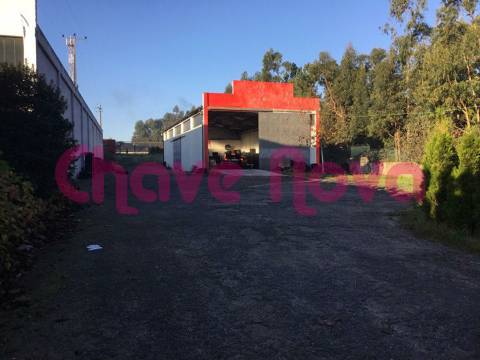 Moradia Isolada  Venda em Lourosa,Santa Maria da Feira