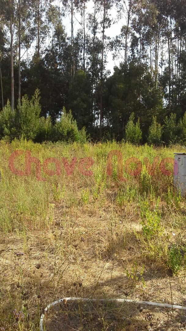 Lote de Terreno  Venda em Malta e Canidelo,Vila do Conde