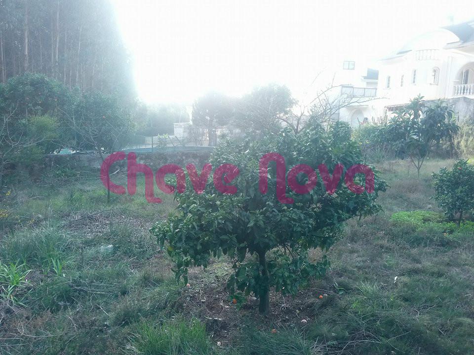 Lote de Terreno  Venda em Santa Maria da Feira, Travanca, Sanfins e Espargo,Santa Maria da Feira