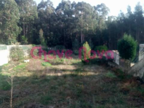 Lote de Terreno  Venda em Santa Maria da Feira, Travanca, Sanfins e Espargo,Santa Maria da Feira