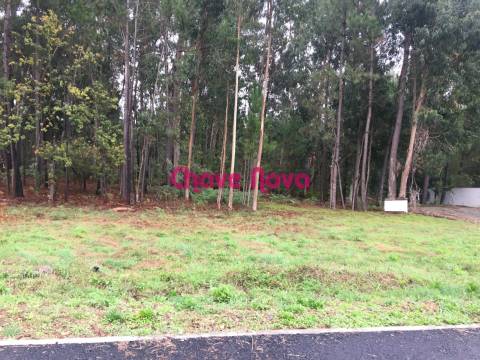 Terreno Urbano  Venda em Santa Maria da Feira, Travanca, Sanfins e Espargo,Santa Maria da Feira