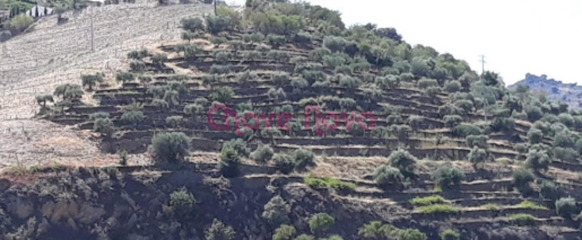 Lote de Terreno  Venda em Açoreira,Torre de Moncorvo