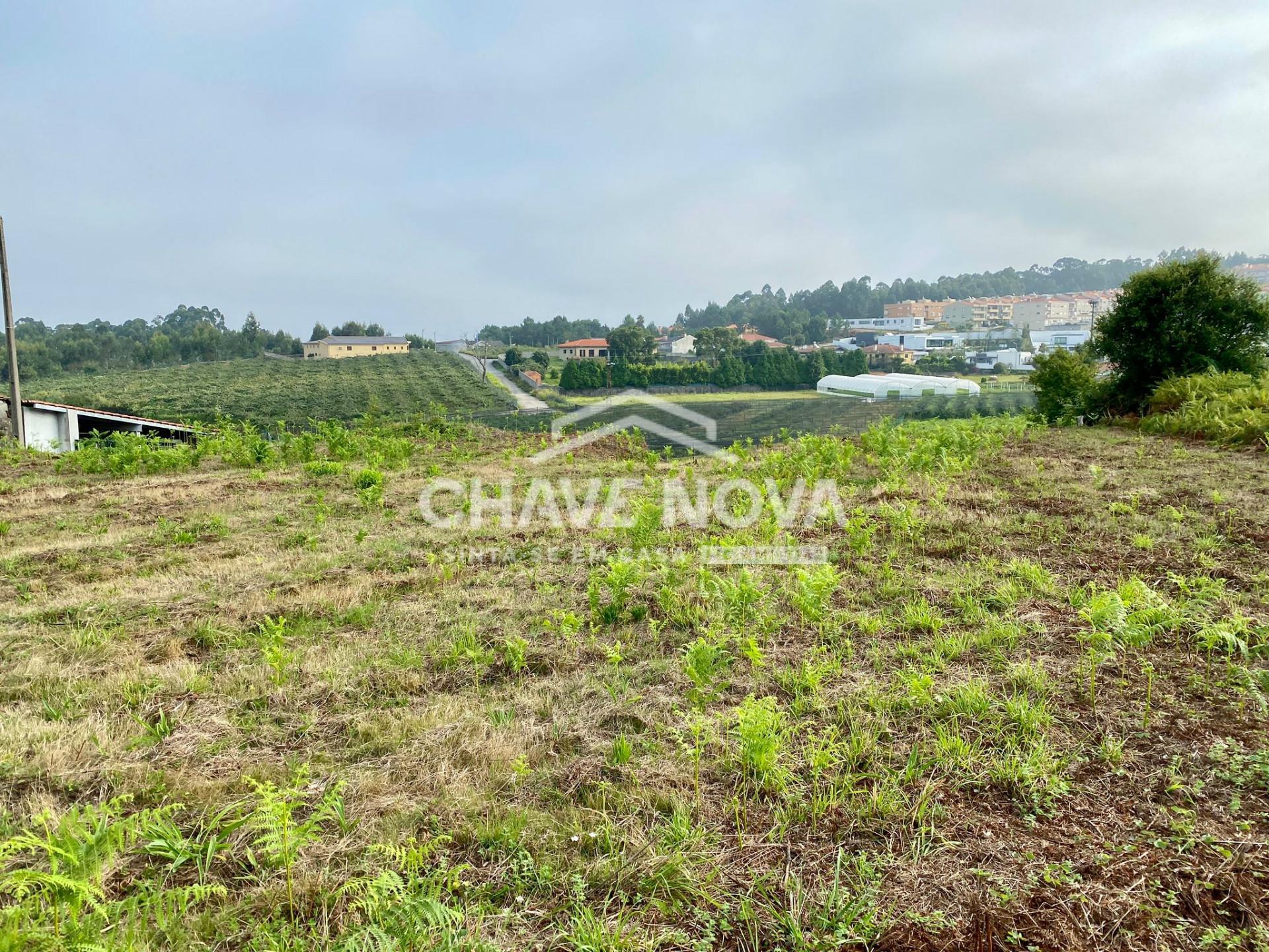 Terreno Misto  Venda em São João de Ver,Santa Maria da Feira