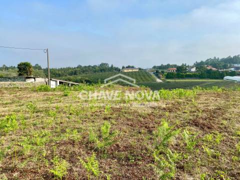 Terreno Misto  Venda em São João de Ver,Santa Maria da Feira