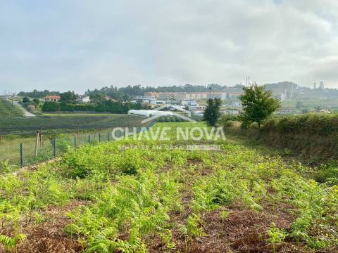 Terreno Misto  Venda em São João de Ver,Santa Maria da Feira