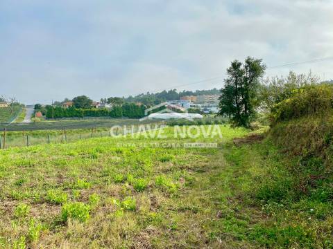 Terreno Misto  Venda em São João de Ver,Santa Maria da Feira