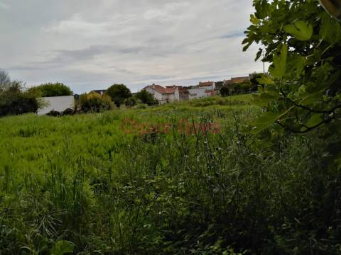 Moradia  Venda em Custóias, Leça do Balio e Guifões,Matosinhos