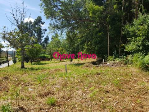 Terreno Para Construção  Venda em Lobão, Gião, Louredo e Guisande,Santa Maria da Feira