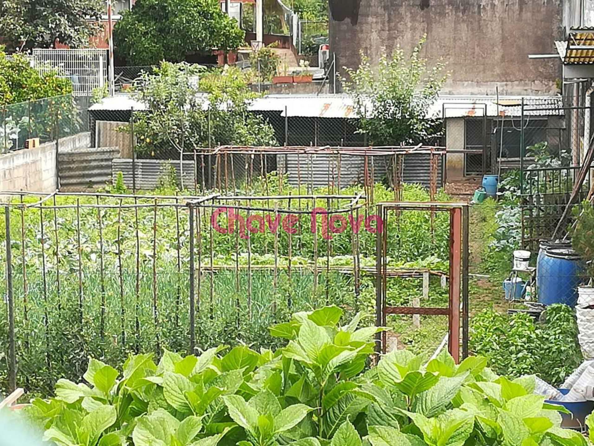 Terreno Para Construção  Venda em Alfena,Valongo