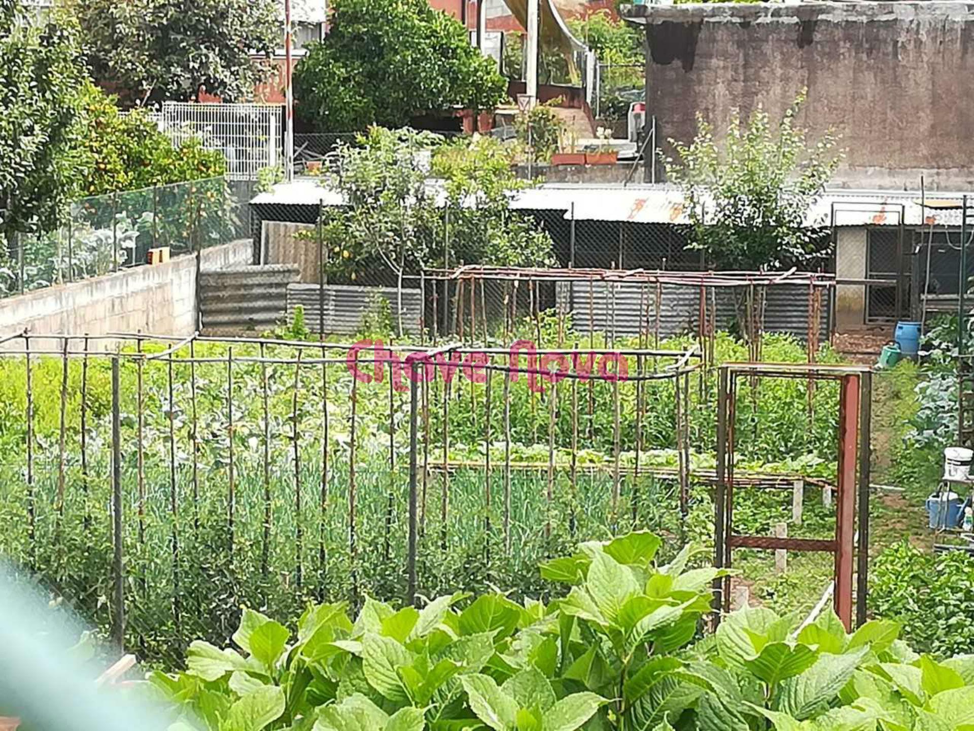 Terreno Para Construção  Venda em Alfena,Valongo