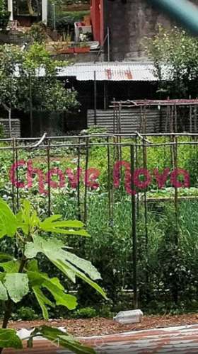 Terreno Para Construção  Venda em Alfena,Valongo