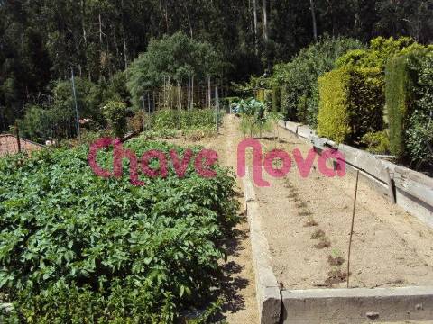 Terreno  Venda em Fornelo e Vairão,Vila do Conde