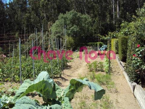 Terreno  Venda em Fornelo e Vairão,Vila do Conde