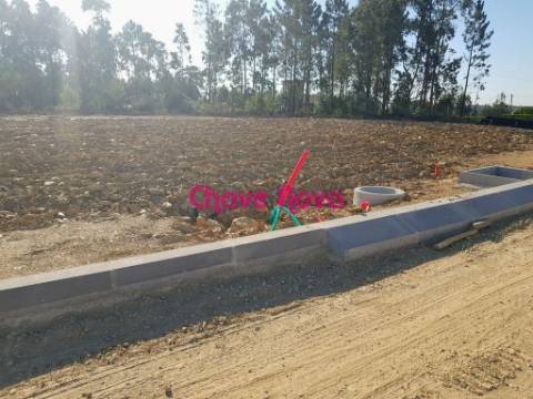 Lote de Terreno  Venda em Santa Maria da Feira, Travanca, Sanfins e Espargo,Santa Maria da Feira