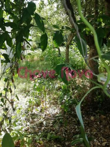 Lote de Terreno  Venda em Avintes,Vila Nova de Gaia