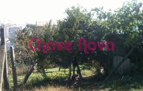 Terreno Rústico  Venda em Custóias, Leça do Balio e Guifões,Matosinhos