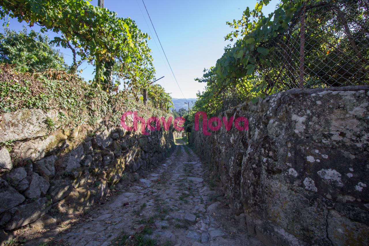 Herdade  Venda em Ancede e Ribadouro,Baião