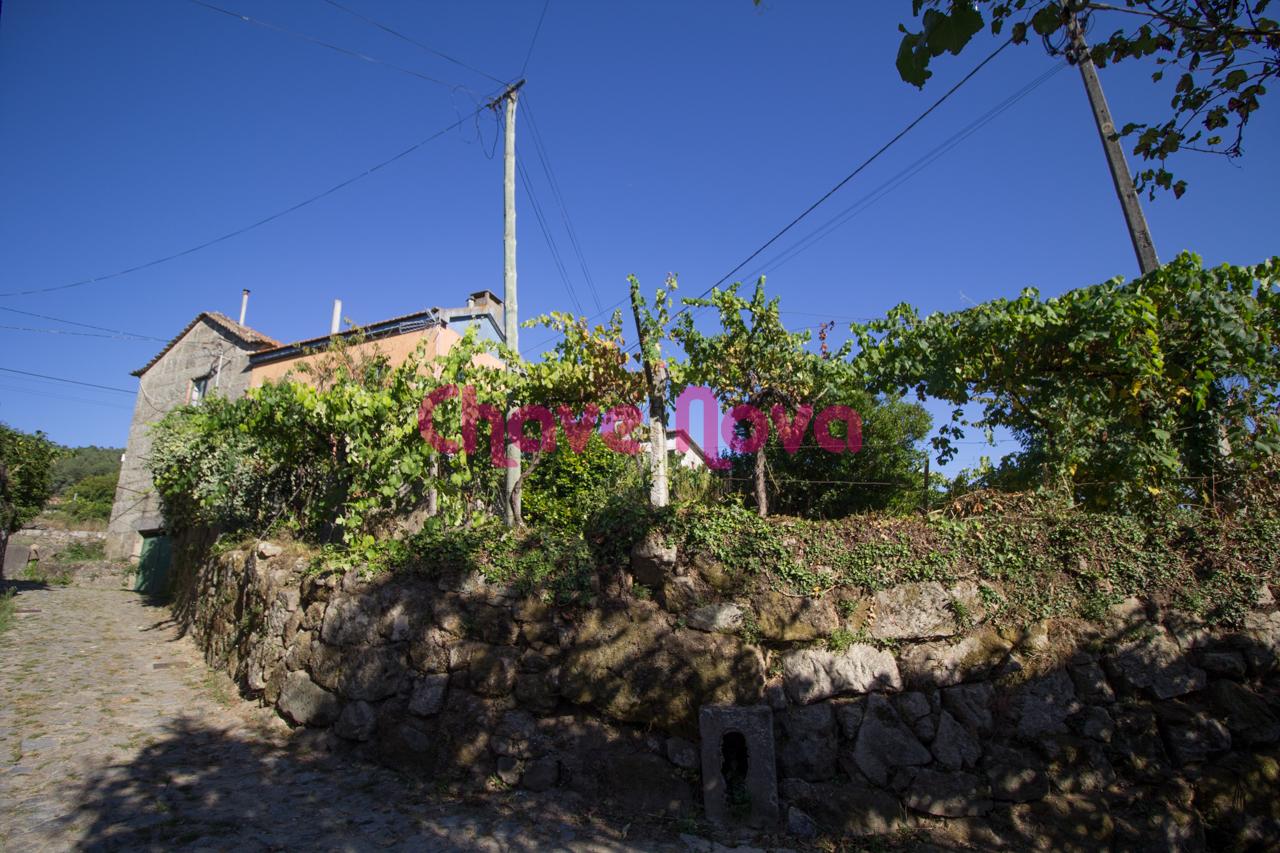 Herdade  Venda em Ancede e Ribadouro,Baião