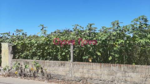 Terreno  Venda em Anta e Guetim,Espinho