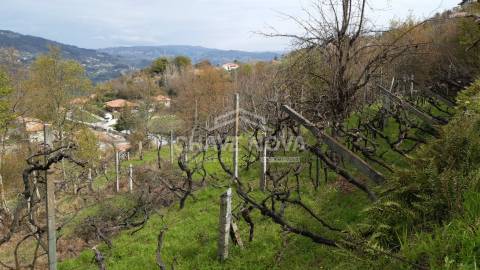 Quintinha T5 Venda em São Cristóvão de Nogueira,Cinfães