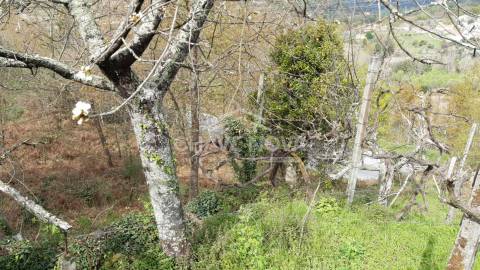 Quintinha T5 Venda em São Cristóvão de Nogueira,Cinfães