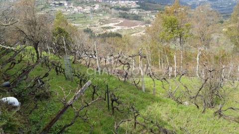 Quintinha T5 Venda em São Cristóvão de Nogueira,Cinfães