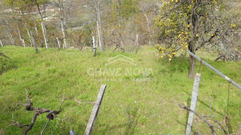 Quintinha T5 Venda em São Cristóvão de Nogueira,Cinfães