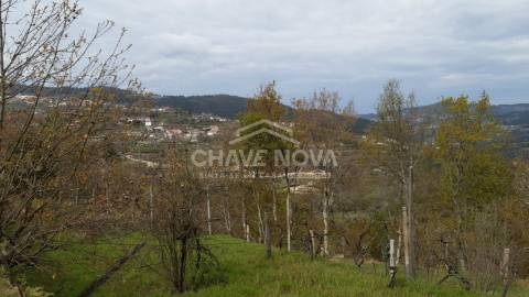 Quintinha T5 Venda em São Cristóvão de Nogueira,Cinfães