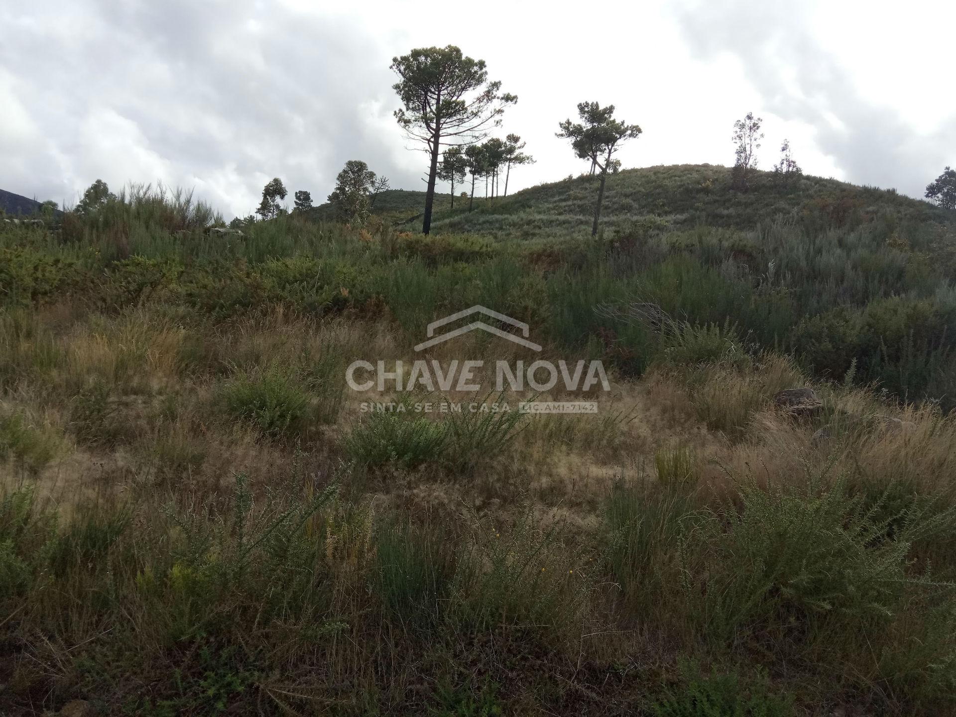 Terreno Misto  Venda em São Cristóvão de Nogueira,Cinfães