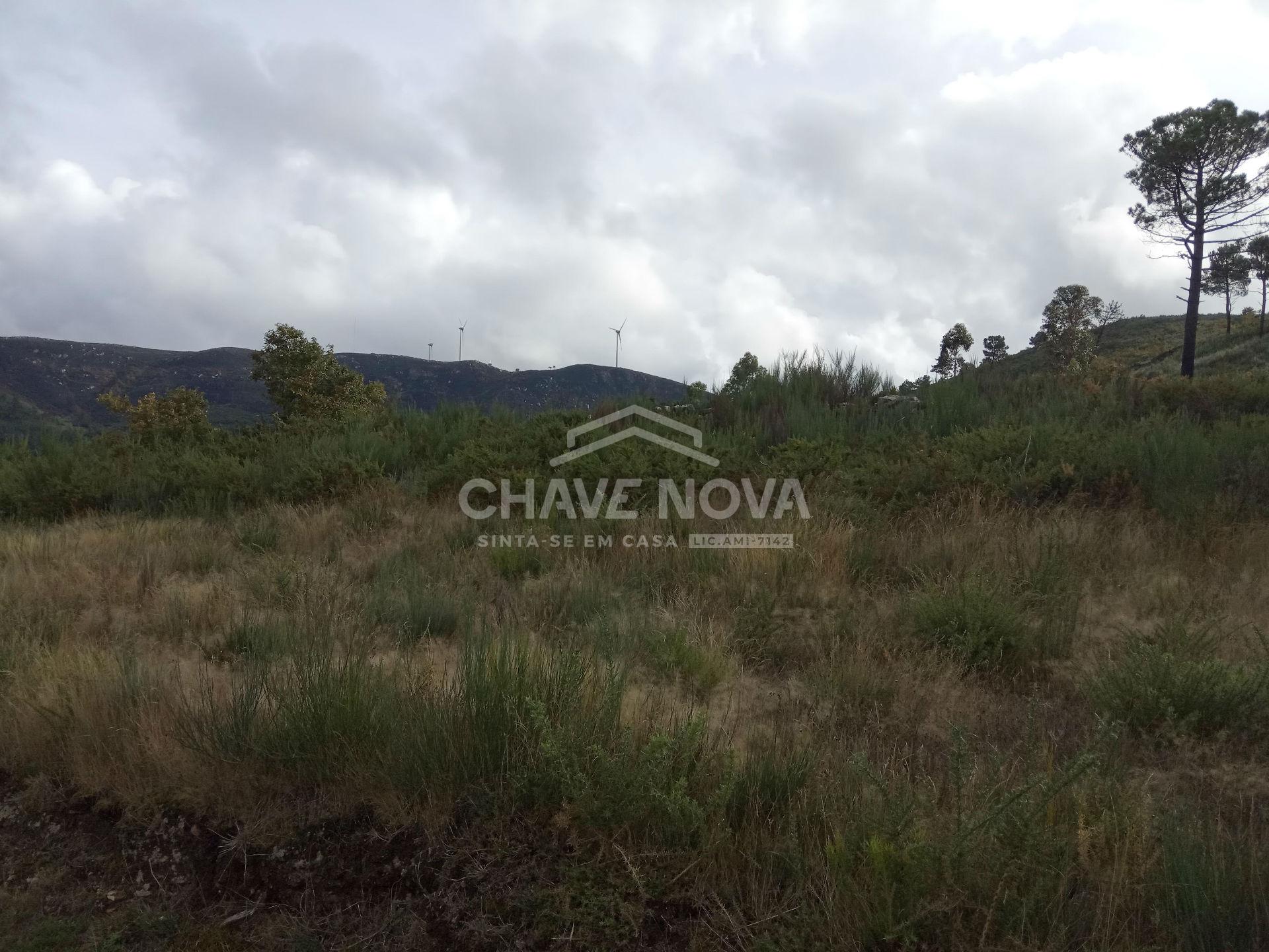 Terreno Misto  Venda em São Cristóvão de Nogueira,Cinfães