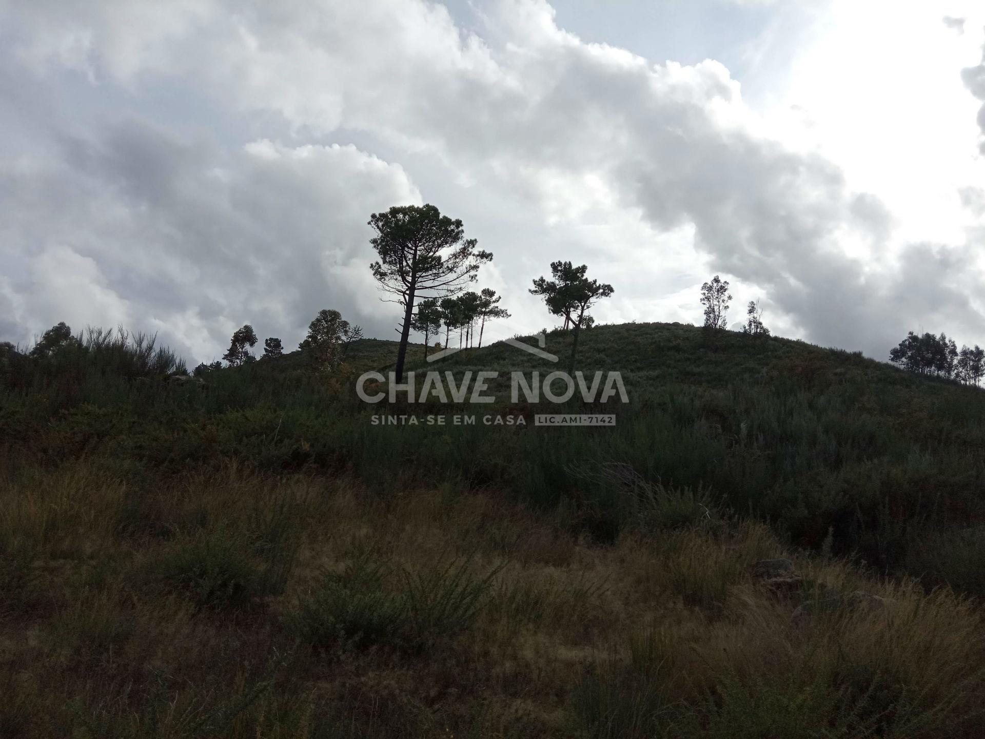 Terreno Misto  Venda em São Cristóvão de Nogueira,Cinfães