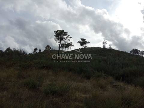 Terreno Misto  Venda em São Cristóvão de Nogueira,Cinfães