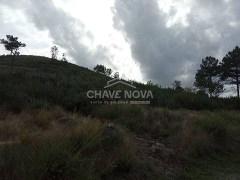 Terreno Misto  Venda em São Cristóvão de Nogueira,Cinfães