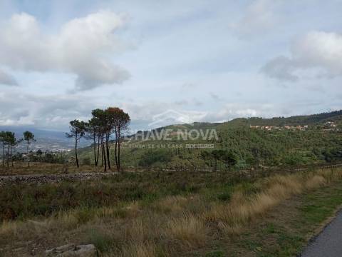 Terreno Misto  Venda em São Cristóvão de Nogueira,Cinfães
