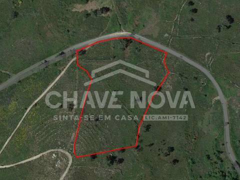 Terreno Misto  Venda em São Cristóvão de Nogueira,Cinfães
