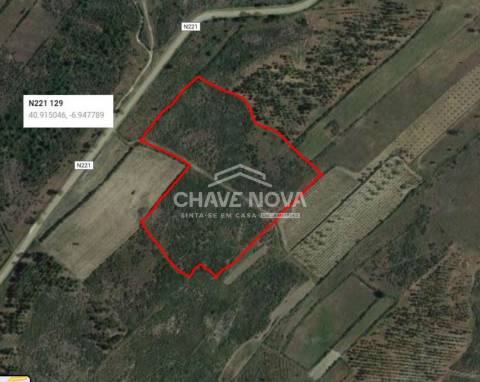 Lote de Terreno  Venda em Figueira de Castelo Rodrigo,Figueira de Castelo Rodrigo