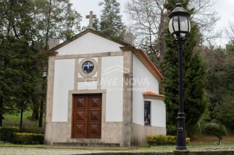 Quinta  Venda em Oliveira de Azeméis, Santiago de Riba-Ul, Ul, Macinhata da Seixa e Madail,Oliveira de Azeméis