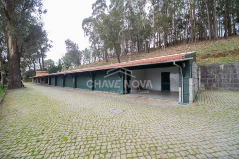 Quinta  Venda em Oliveira de Azeméis, Santiago de Riba-Ul, Ul, Macinhata da Seixa e Madail,Oliveira de Azeméis