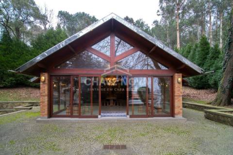 Quinta  Venda em Oliveira de Azeméis, Santiago de Riba-Ul, Ul, Macinhata da Seixa e Madail,Oliveira de Azeméis