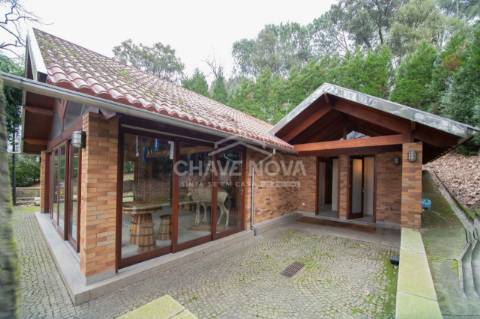 Quinta  Venda em Oliveira de Azeméis, Santiago de Riba-Ul, Ul, Macinhata da Seixa e Madail,Oliveira de Azeméis