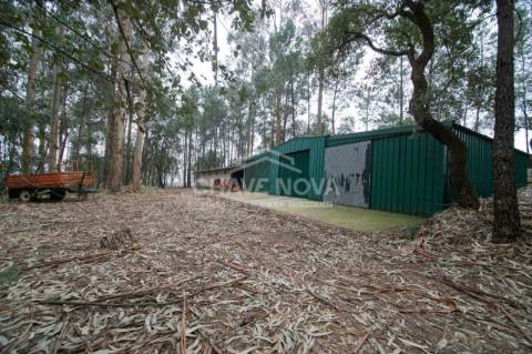Quinta  Venda em Oliveira de Azeméis, Santiago de Riba-Ul, Ul, Macinhata da Seixa e Madail,Oliveira de Azeméis