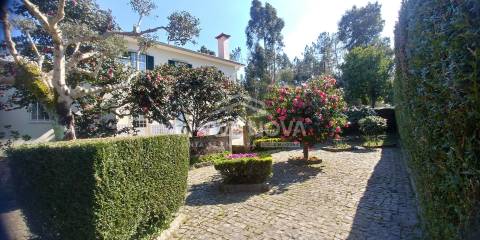 Quinta T4 Venda em Mansores,Arouca